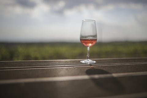 आखिर कैसे शराबबंदी वाले राज्य में शराब बेची जा रही है: बिहार (IANS)