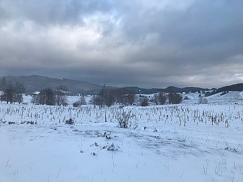 दिल्लीवासियों के लिए साल का अब तक का सबसे ठंडा दिन (Wikimedia)