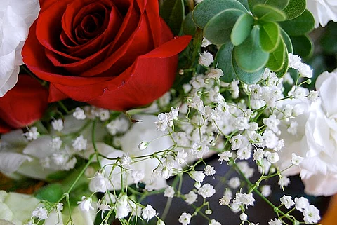 Valentine's Day Special: अपने पार्टनर को दीजिए ये खूबसूरत और आकर्षक गिफ्ट (Wikimedia)