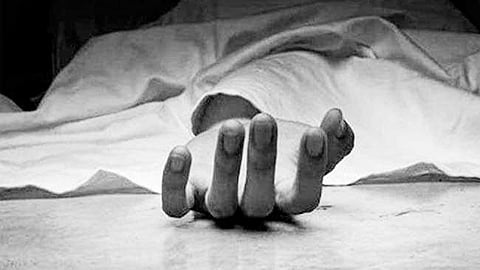 कर्नाटक में संदिग्ध कीड़े के काटने से व्यक्ति की मौत, पत्नी गंभीर (IANS)