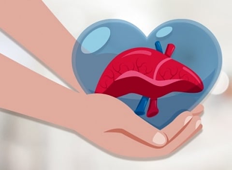 पत्नी ने पति को लीवर देकर बचाई उसकी जान(IANS)