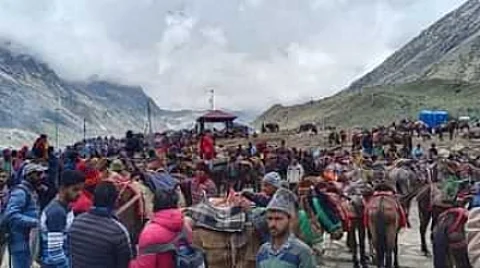 Kedardham Yatra 2023: 16 दिन में 16 घोड़े और खच्चरों की मौत(IANS)