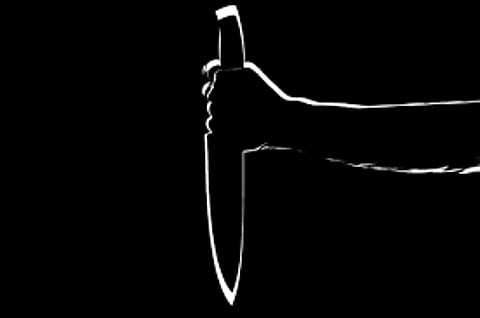 ओडिशा(Odisha) के भद्रक जिले से एक चौंकाने वाला मामला सामने आया है। यहां पर एक महिला ने नाबालिग बेटे की मदद से कथित तौर पर चाकू मारकर अपने पति की हत्या कर दी। (Image: Wikimedia Commons)