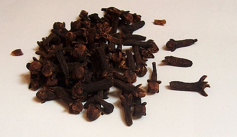 लौंग(clove) गुण पाचन को स्वस्थ रखने के साथ ब्लड शुगर कंट्रोल करने में भी मददगार है।(Image: Wikimedia Commons)