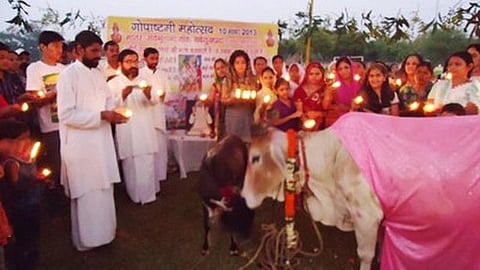 गोपाष्टमी