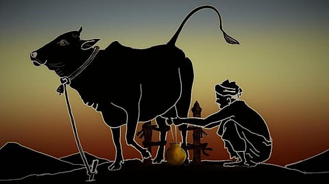 Ahmedabad - दुग्ध उत्पादन ने राज्य के लोगों को सर्कुलर इकोनॉमी का मौका दिया है। (Wikimedia Commons)