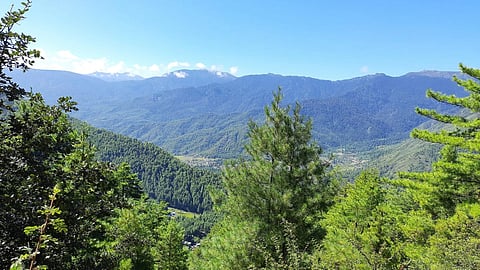 Bhutan : भूटान ने एक विश्व रिकॉर्ड बनाया जब लोगों ने सिर्फ एक घंटे में 50,000 पेड़ लगाए। (Wikimedia Commons)