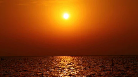 Ratha Saptami 2024 : रथ सप्तमी के दिन सूर्य देव का जन्मदिन मनाया जाता है।इस दिन भगवान सूर्य की पूजा और उनको अर्घ्य देने का विधान है। (Wikimedia Commons)