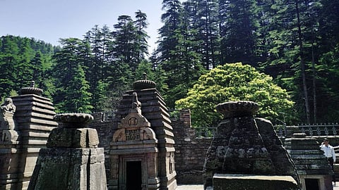 Uttarakhand Jageshwar Dham Temple : इन देवदार पेड़ों का संबंध हिंदू धर्म की आस्था और मान्यता से है। (Wikimedia Commons)