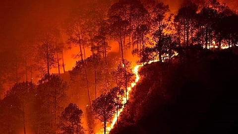 Uttarakhand fire fighting : नैनीताल के जंगल में लगे भीषण आग पर काबू पाने के लिए लगातार कोशिश जारी है। (Wikimedia Commons)