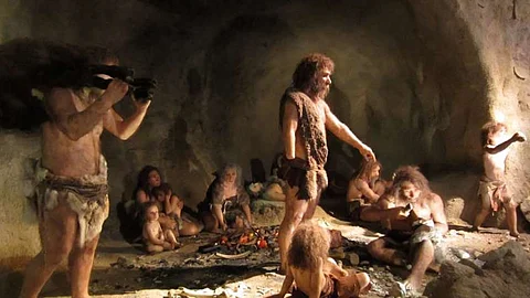 Human Evolution : आज से लगभग 550 लाख वर्ष पूर्व प्रथम आदिम प्राइमेट का विकास हुआ। इसे आप धरती पर पहला इंसान भी कह सकते हैं। (Wikimedia Commons)