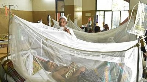 बांग्लादेश में डेंगू का कहर, 24 घंटे के भीतर 9 और लोगों की मौत