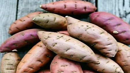 ताज़े शकरकंद का गुच्छा, स्वास्थ्यवर्धक और पौष्टिक। यह शरीर को ऊर्जा, पाचन शक्ति और रोग प्रतिरोधक क्षमता प्रदान करता है।