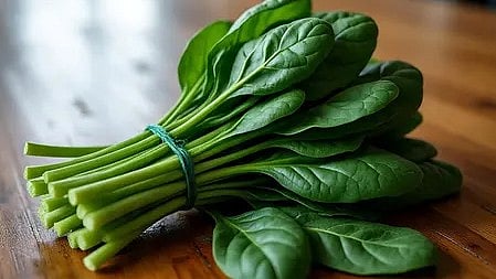 हरी पत्तेदार पालक की ताजी पत्तियां|