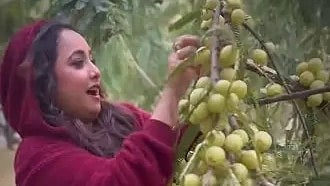 अभिनेत्री रानी चटर्जी पेड़ से फल तोड़ते हुए और आनंद लेती हुई दिखाई दे रही हैं।