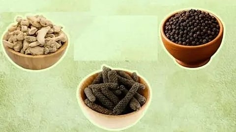 तीन कटोरियों में रखी काली मिर्च, अदरक और अन्य आयुर्वेदिक सामग्री वाली तस्वीर।