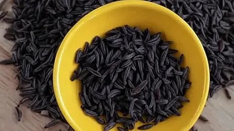 काली जीरी के छोटे काले बीज, पेट और स्वास्थ्य के लिए आयुर्वेदिक उपयोग में|