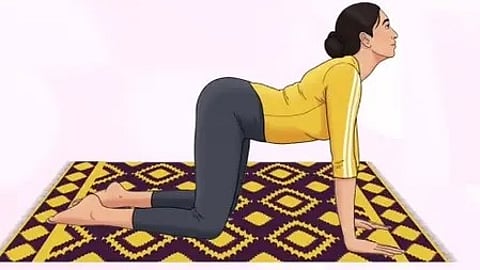 मार्जरी-बिटिलासन योग आसन करती महिला, कमर और कंधे की मालिश करती हुई मुद्रा में।