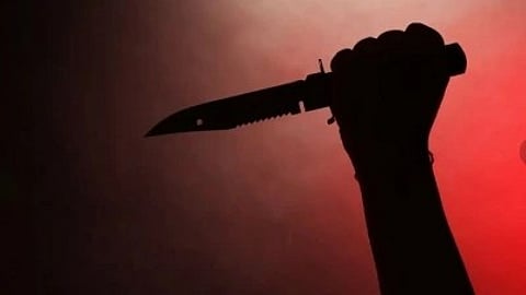 एक धारदार चाकू का स्पष्ट दृश्य।