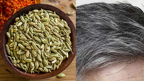 तस्वीर में सौंफ और एक व्यक्ति का सफ़ेद बाल
