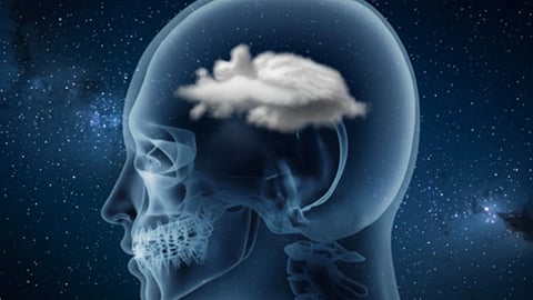 इंसान के दिमाग की तस्वीर