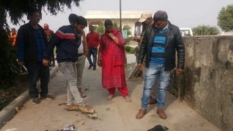 कुछ लोगों को जमीन पर देखते हुए देखा जा सकता है।