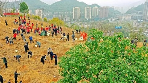 चीन में हरे मैदान में खड़े लोग।