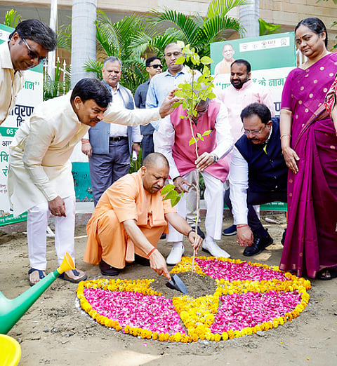 यूपी को ‘हरित प्रदेश’ बनाने में जुटी योगी सरकार, 9 वर्ष में लगाए गए 242 करोड़ से अधिक पौधे