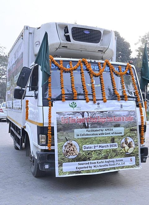 ‘किसानों ने वैश्विक मंच पर कदम रखा’: जीआई-टैग वाले कार्बी आंगलोंग अदरक के पहले निर्यात पर बोले सरमा