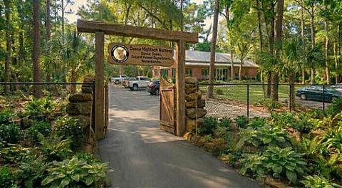 गुजरात को मिलेगी पहली हाई-टेक नर्सरी, बनासकांठा में 3.5 करोड़ की लागत से तैयार होगा