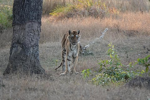 मध्य प्रदेश में फेमस