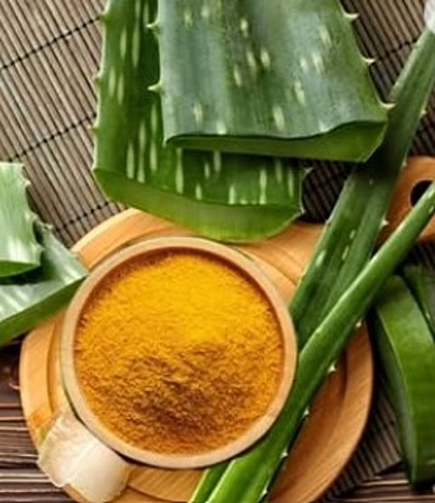 एलोवेरा