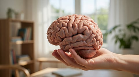 मेंटल हेल्थ के लिए जरूरी हैं ये पोषक तत्व, दिमाग को बनाएं मजबूत और खुशहाल