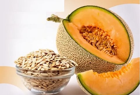 ‘खरबूजे के बीज’ : पोषक तत्वों से भरपूर सुपरफूड, इम्युनिटी बूस्ट तो ब्लड प्रेशर को करे कंट्रोल