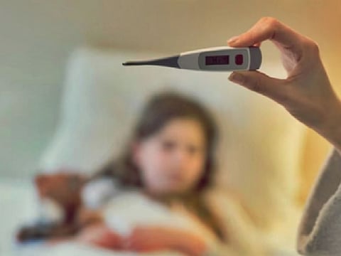 बिना दवा के शरीर को रखना है निरोग, प्रकृति दिखाएगी स्वस्थ रखने का रास्ता