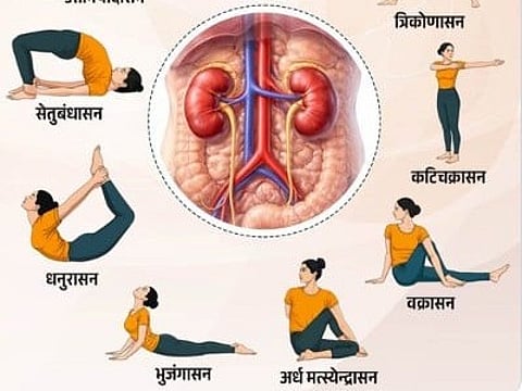 गुर्दे की सेहत के लिए वरदान हैं ये योगाभ्यास, जानें करने का सही तरीका