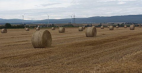 मुख्यमंत्री अरविंद केजरीवाल, जिन्होंने राष्ट्रीय राजधानी में वायु प्रदूषण के लिए हमेशा पड़ोसी हरियाणा और पंजाब में पराली जलाने को जिम्मेदार ठहराया था। (Wikimedia Commons)