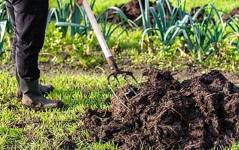 छत्तीसगढ़ में गाय का गोबर बन रहा आर्थिक समृद्धि की सौगात। (IANS)