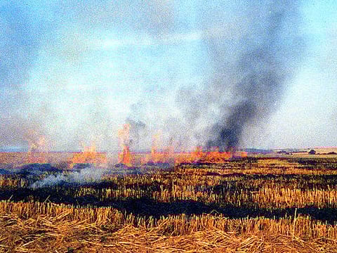 भूमि का पराली जलाना। (WIKIMEDIA COMMONS)