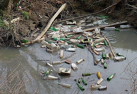 प्रदूषण के बढ़ने से ना केवल मनुष्य परंतु पर्यावरण को भी हनी पहुंच रही है। (wikimedia commons)