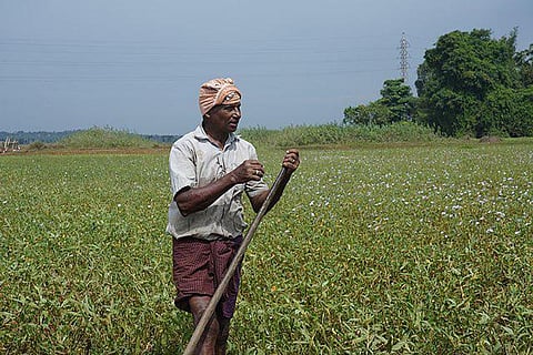 केंद्रीय शिक्षा मंत्री धर्मेंद्र प्रधान ने आज लोकसभा में एक प्रश्न के लिखित उत्तर में यह जानकारी दी।(wikimedia commons)
