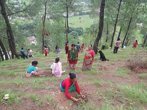 बुंदेलखंड में रोजगार की बड़ी समस्या और पानी का संकट होने के कारण खेती और पशुपालन किसी चुनौती से कम नहीं है| (सांकेतिक चित्र, File Image)