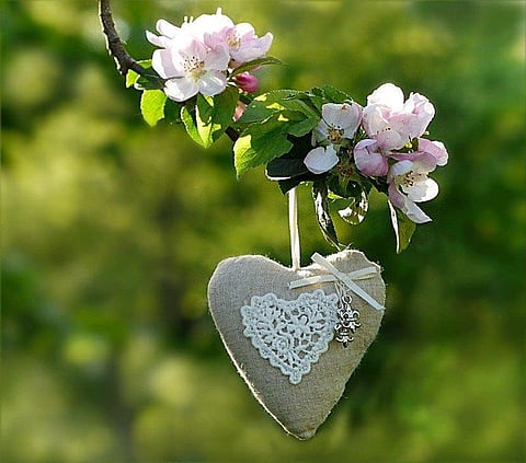 यूएई में प्रवासी भारतीय ने बनाया सबसे बड़ा ग्रीटिंग कार्ड, रिकॉर्ड कायम