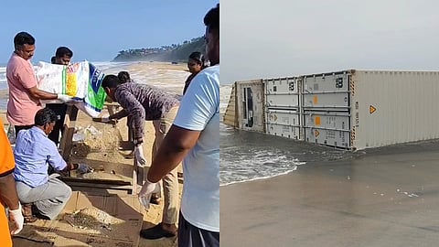 MSC ELSA 3 Shipwreck contents of the containers listed by government