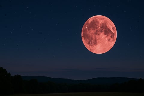 പ്രതീകാത്മക ചിത്രം