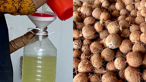 Coconut oil and coconut prices hit all-time records