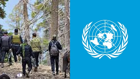 UN Report on TRF