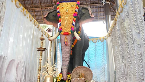 Image: PETA India
