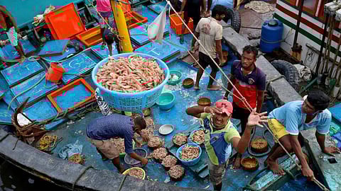 നമ്മുടെ സ്വന്തം ഭായിമാര്; കേരളത്തില് മത്സ്യബന്ധനത്തിനു പോകുന്നവരില് 58 ശതമാനവും അതിഥി തൊഴിലാളികള്