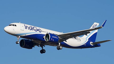 Indigo